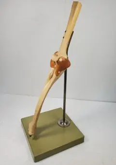 Item thumbnail for item 385749b6-3012-4800-891e-425c634a2975