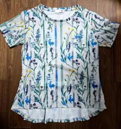 Item thumbnail for item 64cfe5fd-a0f8-492f-94d0-d303f44f23e4