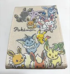 ポケモン ミラー ブイズ ピカチュウ ITS'DEMOのサムネイル