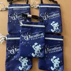 東京ディズニーリゾート バケーションパッケージ ポーチ 5個セット