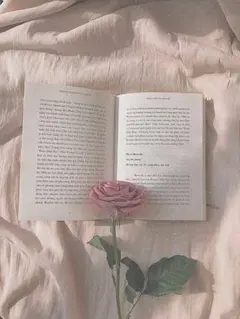 きよみん様 リクエスト 2点 まとめ商品