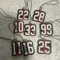 北海道コンサドーレ札幌　ボンフィンチャーム