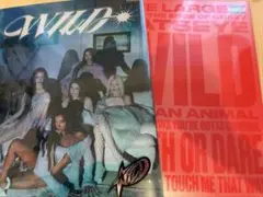 KATSEYE アルバム　WILD 2種セット