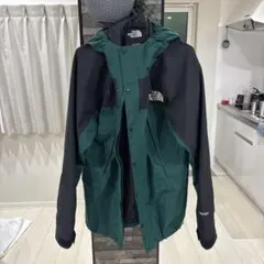 THE NORTH FACE マウンテンパーカー 希少カラー廃盤品