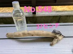 2025年最新】アク抜き済流木の人気アイテム - メルカリ