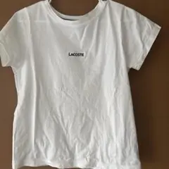 LACOSTE ホワイト Tシャツ 半袖
