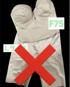 Item thumbnail for item e475d36c-31be-448f-a2dc-520abbdd4e87