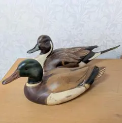 鴨2羽