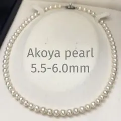 超希少 アコヤ真珠 あこや ベビーパール 3.2mm 39cm テリ強◎ - メルカリ
