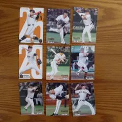 Item thumbnail for item eb20e3f4-b98a-42be-bdeb-386accec9d28