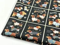 シーチング綿100%生地幅110cm×100cmワンコ達.1922