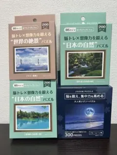 大人用ジグソーパズル 4種セット まとめ売り - メルカリ