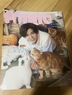 potato 2020年4月号　小瀧望表紙