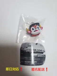 プロ野球マスコット　めじるしアクセサリー　チャーム　バファローブル　ガチャガチャ