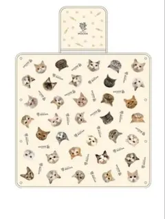 猫カフェ　mocha 福袋　猫