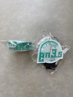 Item thumbnail for item 5a730cb3-ced4-4961-a640-22e812730040