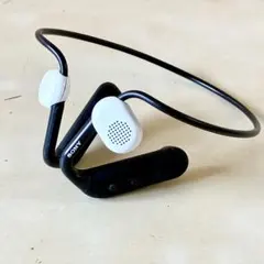 SONY Float Run WI-OE610 オープンイヤーヘッドセットのサムネイル