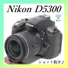 ☘️ショット数188回✨ ニコン D5600 一眼レフカメラ 初心者 スマホ