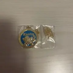 ポケモン カントー地方 メタルチャーム ゼニガメ キーホルダー