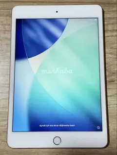 i Pad mini 5 （第5世代） wi fi モデル 64GB ゴールド