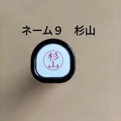 Item thumbnail for item 401fa858-f5e8-4dc3-97a0-6b704607f78c