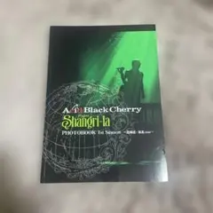 Acid Black Cherry Project『Shangri―la』PH…