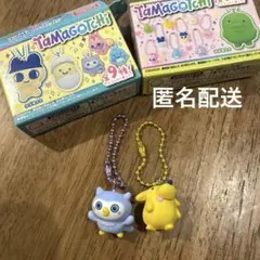 匿名配送　たまごっちチョコボックス　ほーほっち　ポチっち