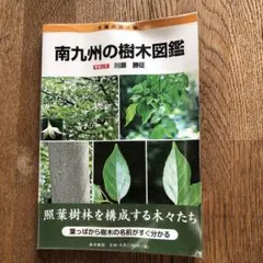 Item thumbnail for item 2f990059-c044-4e50-b9e0-a9a196e3d0d4