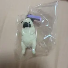 洗濯日和2 パグ