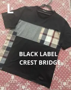 ✨美品✨BLACKLABEL CRESTBRIDGE メンズTシャツ Lサイズのサムネイル