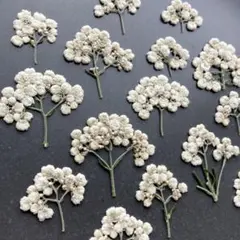 kuu♡coco プロフ見てね♡様 リクエスト 2点 まとめ商品