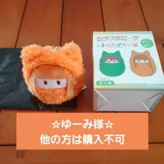 ☆ゆーみ様☆　ゆうパケットプラス利用