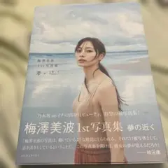 乃木坂46 梅澤美波1st写真集 夢の近く