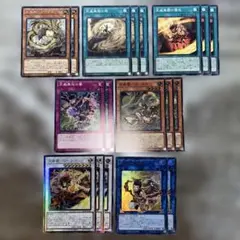 gia-fenser】遊戯王 天盃龍 カードセット - メルカリ