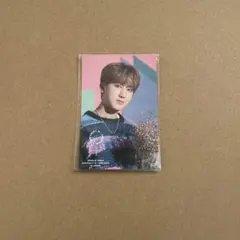 スキズ チャンビン オンラインくじ 公式グッズ フォトステッカー