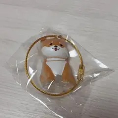 わんこのタイムカプセル