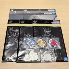 ポケモン　一番くじ　メガシンカ　G賞 H賞 I賞 10点