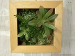 フェイクグリーン 多肉植物 壁掛け アートフレームのサムネイル