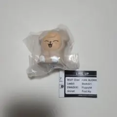 SKZOO ライトマスコット ガチャ パピーム　スンミン