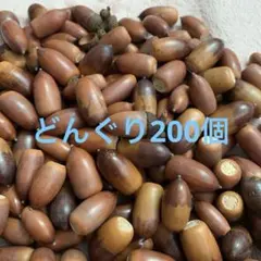 ☆8/24~27発送しません‼︎お早目に様 リクエスト 2点 まとめ商品