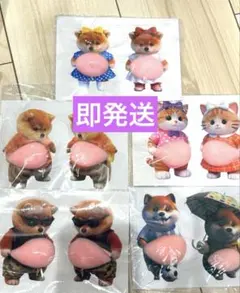 【新品未使用】 お腹シール10枚セット ぷにぷにシール 3Dシール 猫 犬