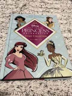 Disney Princess Story ディズニー　英語　絵本