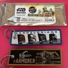 スターウォーズ　フライトタグのサムネイル