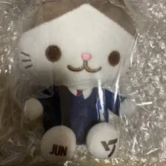 SEVENTEEN スーツ猫 ぬいぐるみ