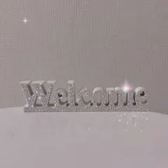 welcome インテリア　オブジェ　オーロラ