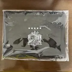 サンフレ　メッシュポーチ