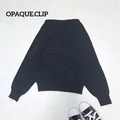 オペークドットクリップ ボートネックショート丈長袖ニット シンプル 綿混 黒 L