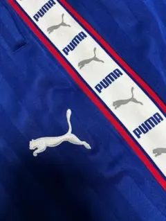 2026年最新】プージャー 青の人気アイテム - メルカリ