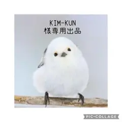 KIM-KUN様 リクエスト 2点 まとめ商品
