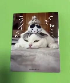 【猫本】ぐでねこライくん